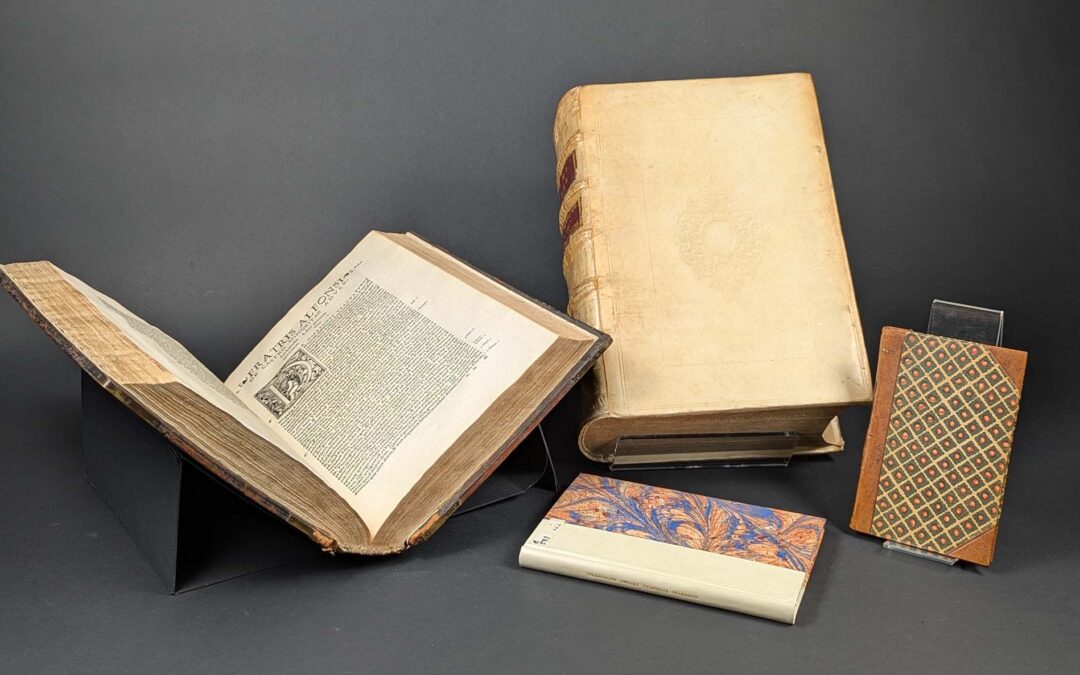 Maison d’Érasme shines a light on its censored texts